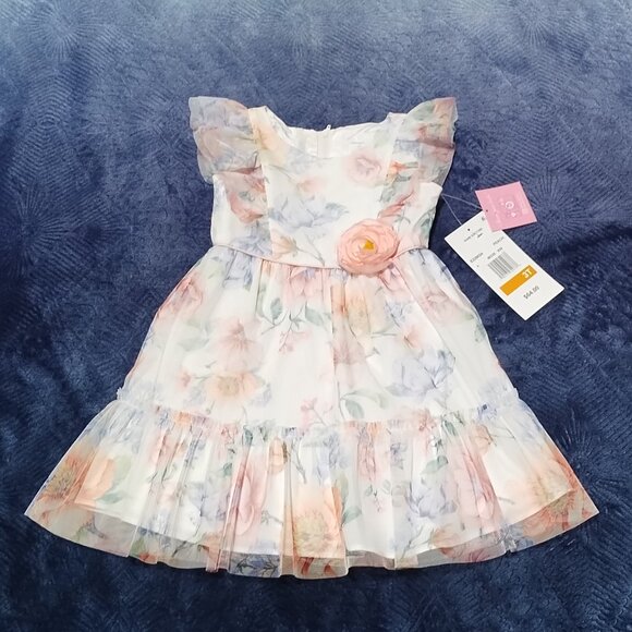 Girls 3T Floral Dress by Rare Editions Great Spring/Summer Dress NWT $64.00.